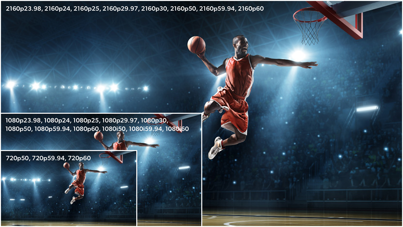Multi Rate 12G-SDI for HD Video Standards