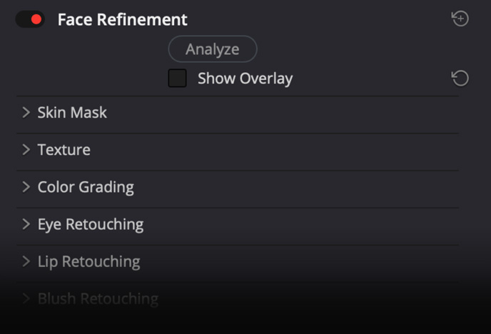 Face Refinement UI